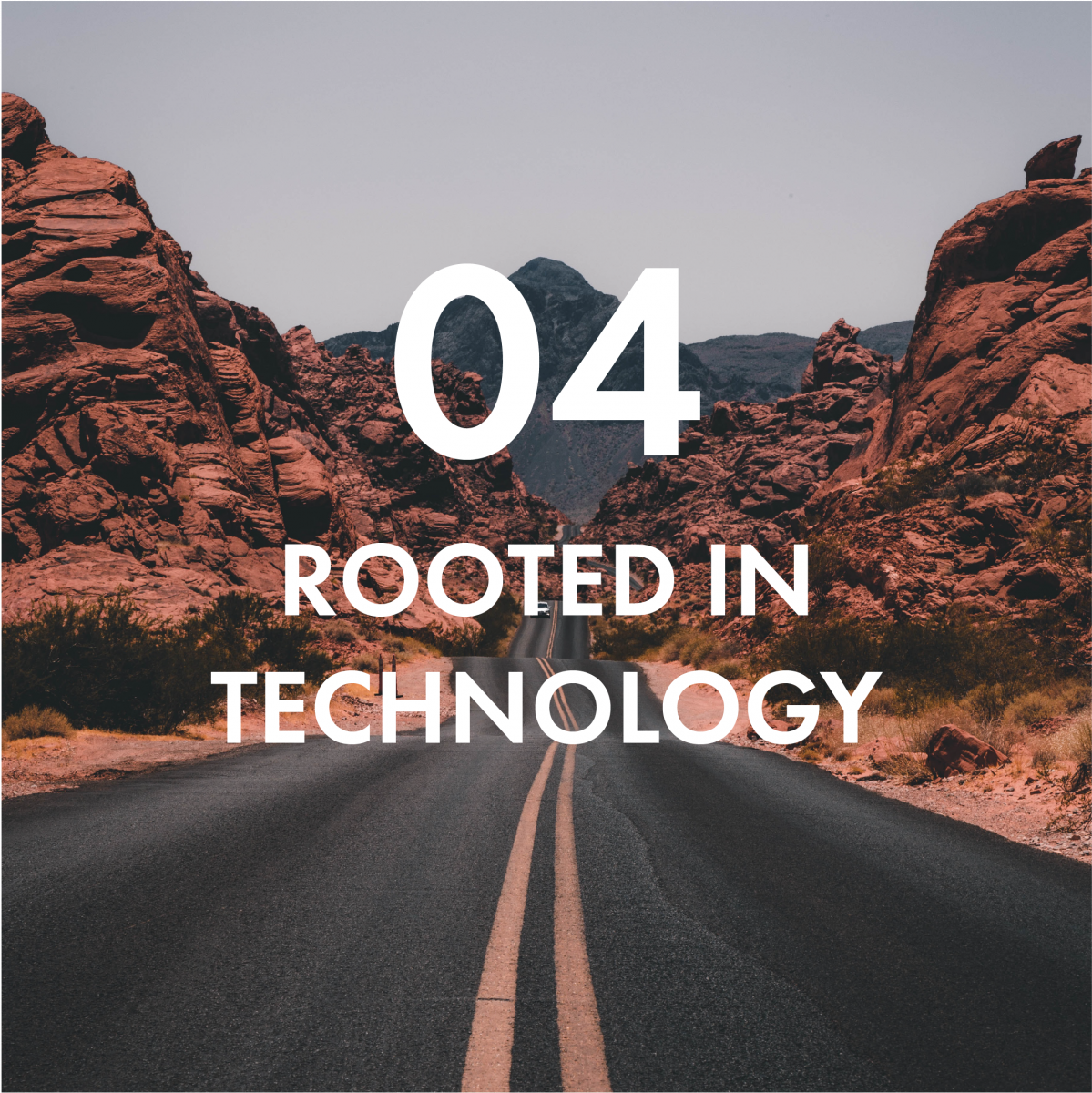 Rooted in Technology
