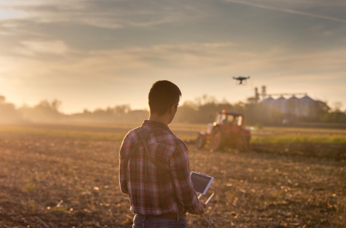 Geography professional in corn field with drone